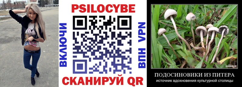 Псилоцибиновые грибы GOLDEN TEACHER  магазин продажи наркотиков  Стрежевой 